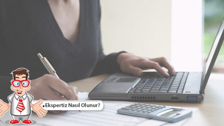 Eksper Nasıl Olunur?