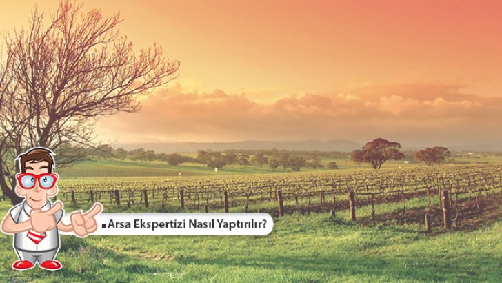 Arsa Ekspertizi Nasıl Yaptırılır?