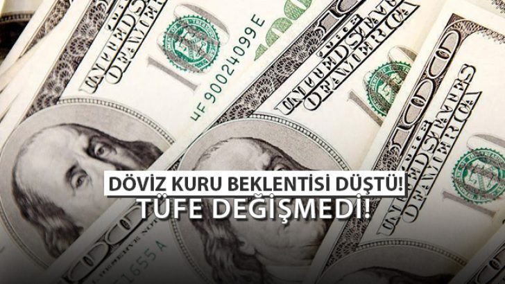 Döviz Kuru Beklentisi Düştü! TÜFE Değişmedi!