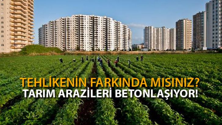 Yatırım İçin Alınan Tarım Arazilerinde Yükseliş Var!
