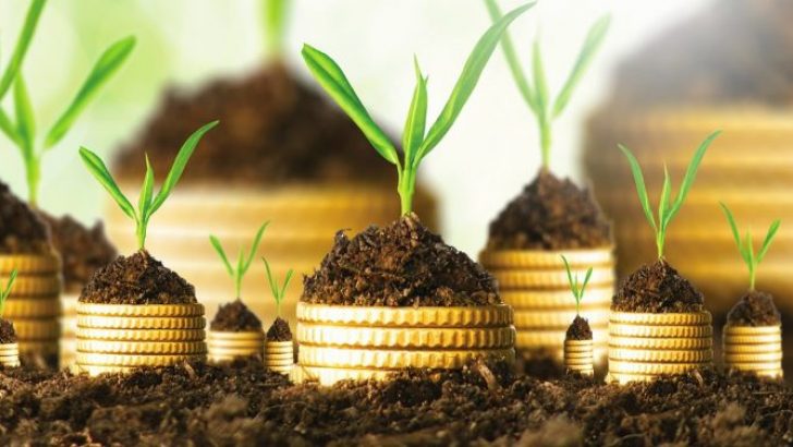Katılım Bankası Nedir? Diğer Bankalardan Farkı Nedir?